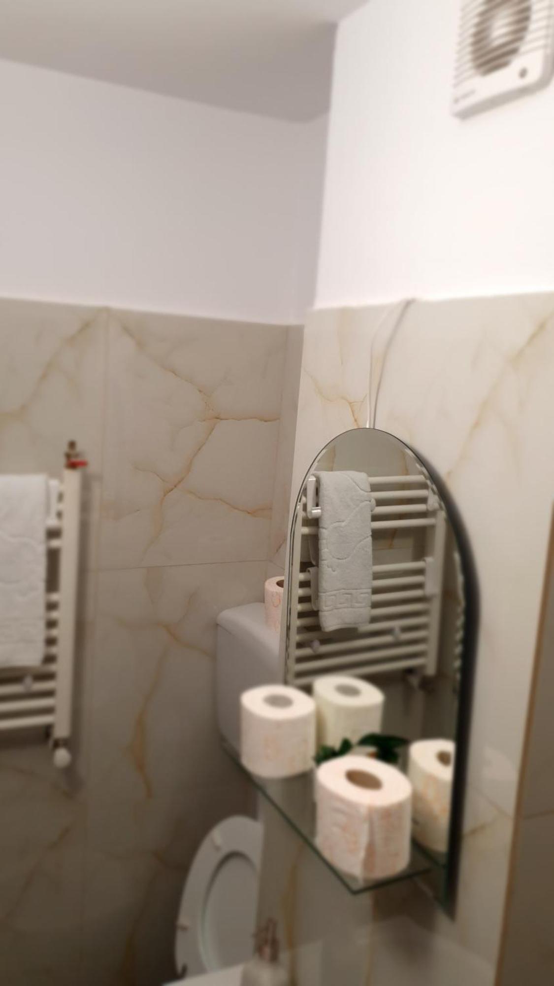 Janine Apartamento Braşov